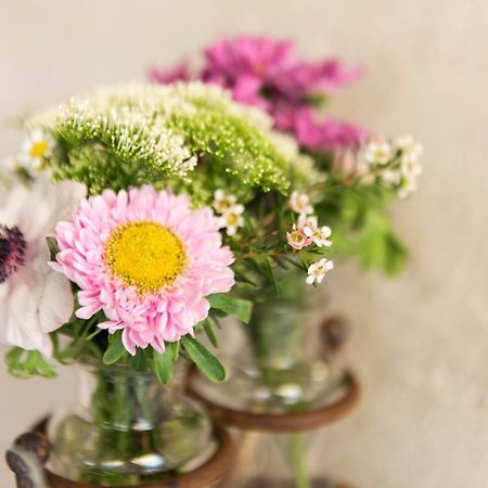 Cambiasca Agriturismo Al Motto מראה חיצוני תמונה