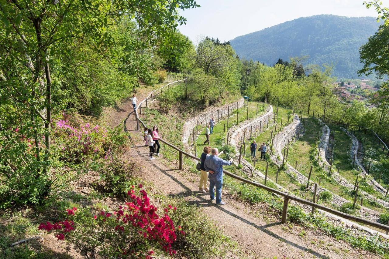Cambiasca Agriturismo Al Motto מראה חיצוני תמונה